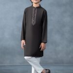 Embroidered Blended Kurta