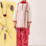 3 Piece Embroidered Lawn Suit