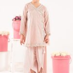 2 Piece Embroidered Lawn Suit