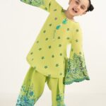 2 Piece Embroidered Lawn Suit