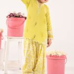 2 Piece Embroidered Lawn Suit