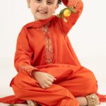 3 Piece Embroidered Dobby Lawn Suit