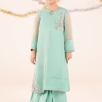 2 Piece Embroidered Organza Suit