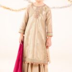 3 Piece Embroidered Tissue Suit