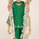 3 Piece Embellished Organza Suit