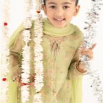 3 Piece Embroidered Organza Suit