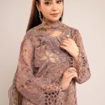 3 Piece Embroidered Organza Suit