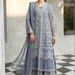 3 Piece Embroidered Organza Suit