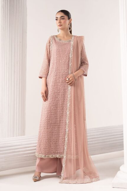 3 Piece Embroidered Organza Suit