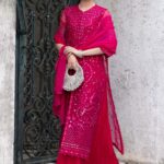 3 Piece Embroidered Organza Suit